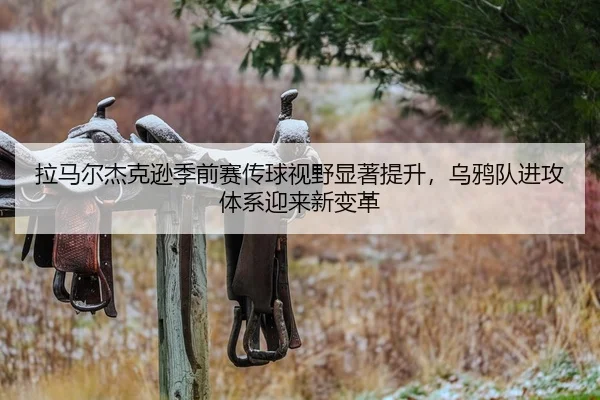 拉马尔杰克逊季前赛传球视野显著提升，乌鸦队进攻体系迎来新变革