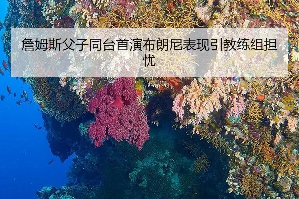 zhan-mu-si-fu-zi-tong-tai-shou-yan-bu-lang-ni-biao-xian-yin-jiao-lian-zu-dan-you-3-199.jpg