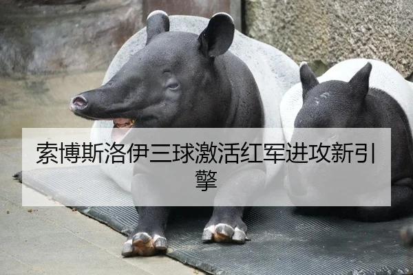 索博斯洛伊三球激活红军进攻新引擎